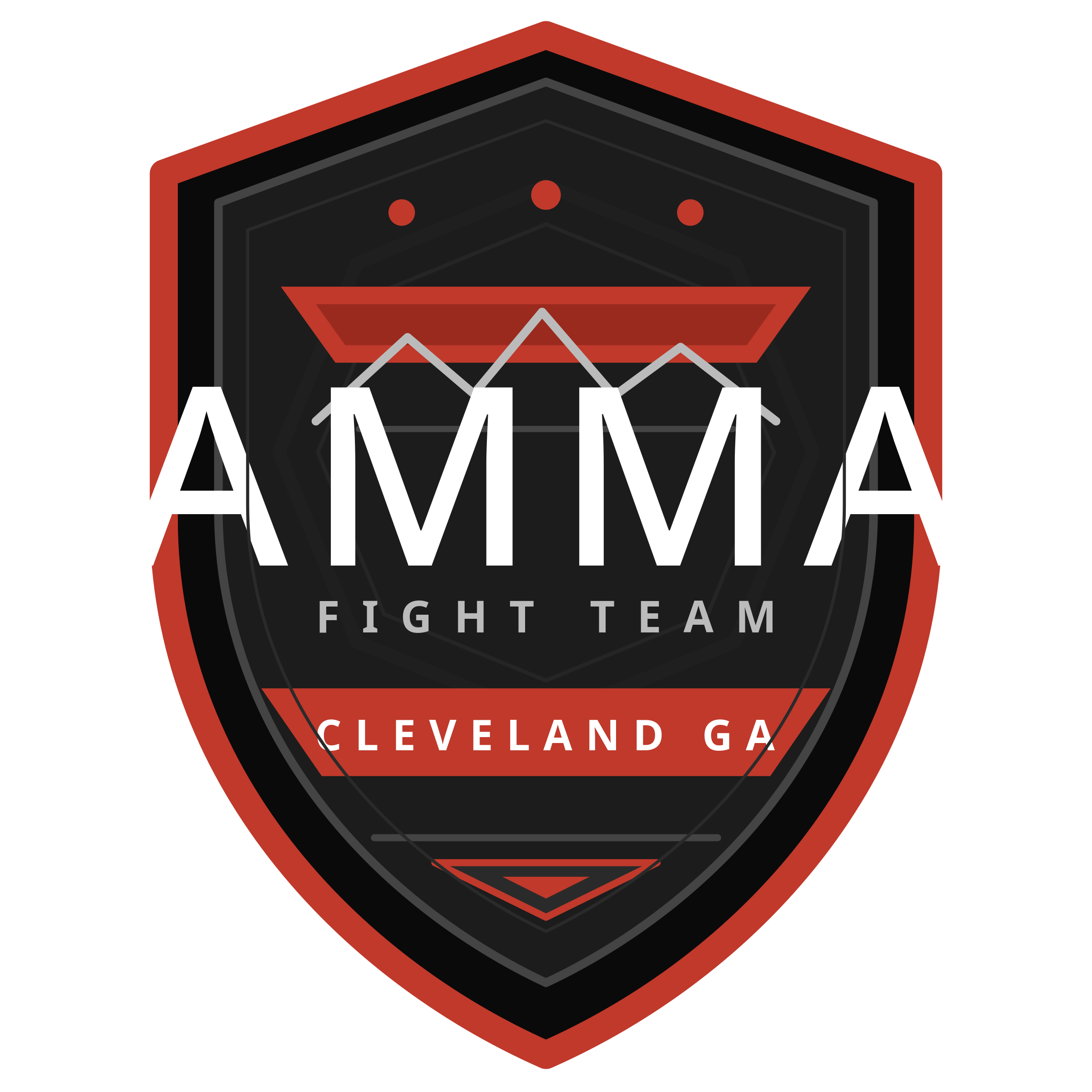 AMMA Fight Team crest